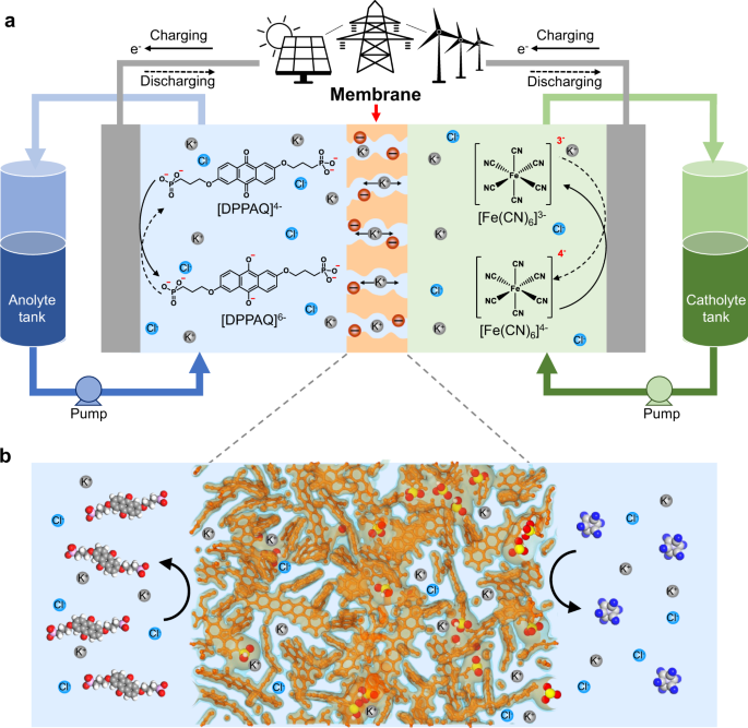 Development of efficient aqueous organic redox flow batteries using  ion-sieving sulfonated polymer membranes | Nature Communications