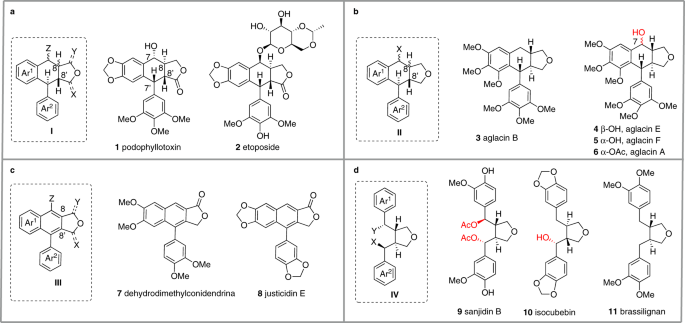 Taming the radical cation intermediate enabled one-step access to  structurally diverse lignans | Nature Communications