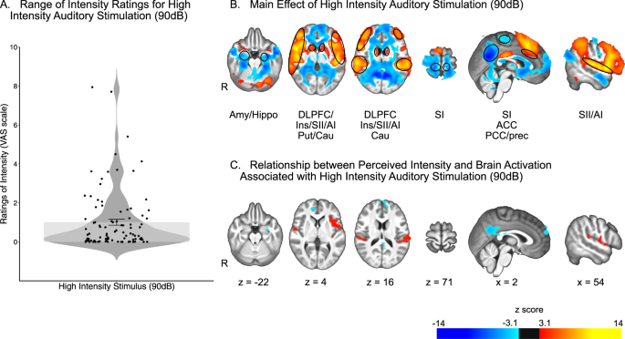 Mind-Body Optimization, Range of Intensity