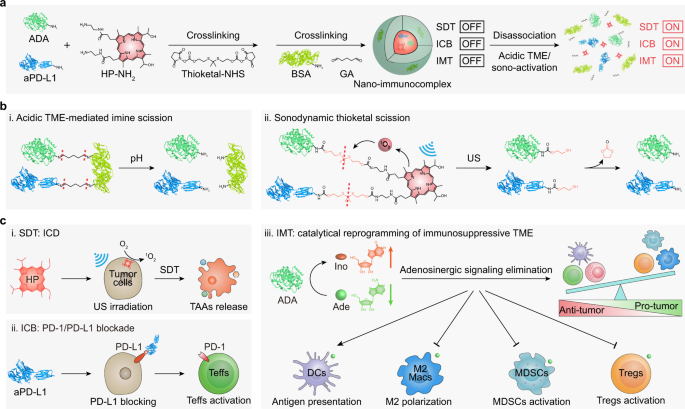 Catalytical nano-immunocomplexes for remote-controlled sono-metabolic  checkpoint trimodal cancer therapy