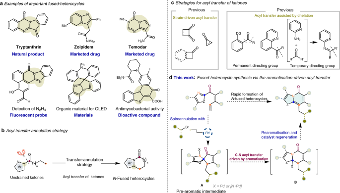 Which of the following sets have both heterocyclic compounds?A.Phenol and  FuranB.Furan and ThiopheneC.Thiophene and PhenolD.Furan and Aniline