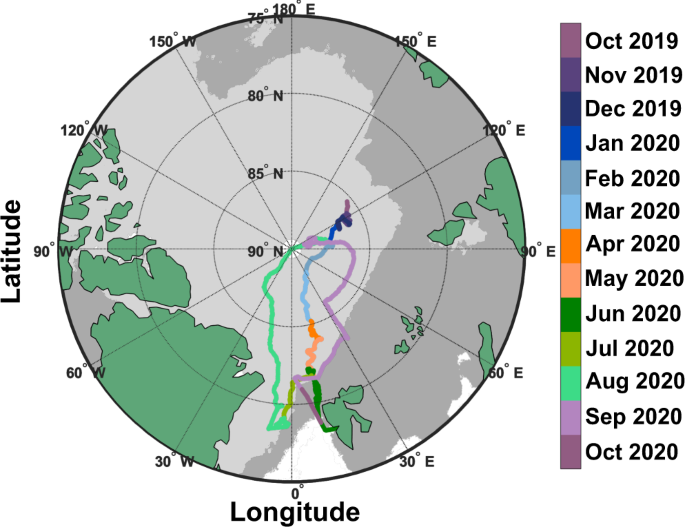 Annual cycle observations of aerosols capable of ice formation in central  Arctic clouds