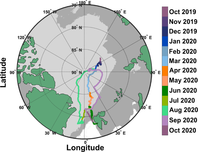 Annual cycle observations of aerosols capable of ice formation in central Arctic clouds