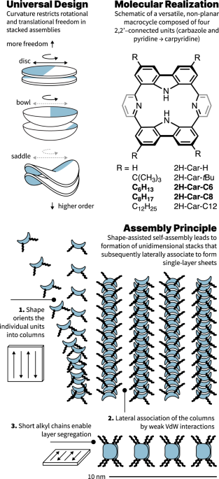 Shape-assisted self-assembly