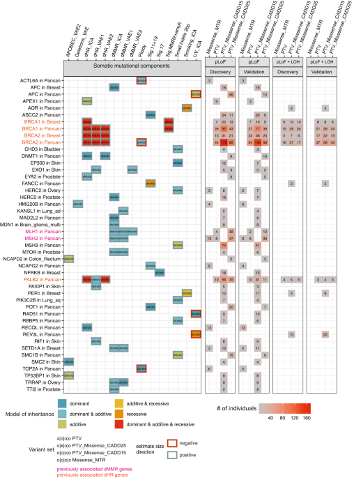 PDF) Identification of de novo EP300 and PLAU variants in a