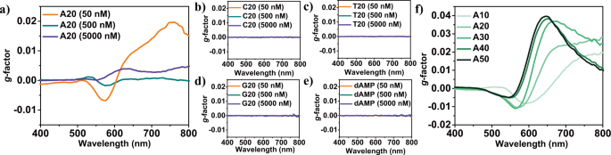 Adenine oligomer directed synthesis of chiral gold nanoparticles
