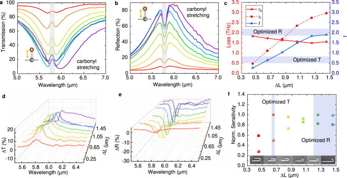 Dynamic construction of refractive index-dependent vibrations using surface  plasmon-phonon polaritons