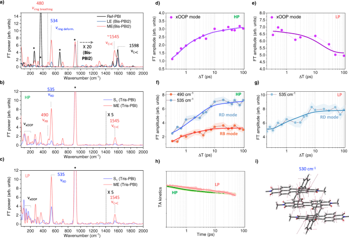 Ultrafast Exciton Self-Trapping upon Geometry Deformation in Perylene-Based  Molecular Aggregates