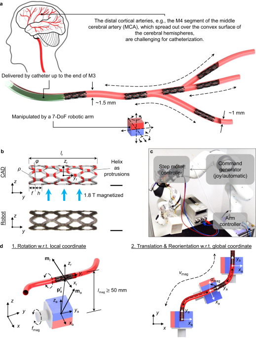 Adaptive wireless millirobotic locomotion into distal vasculature | Nature  Communications