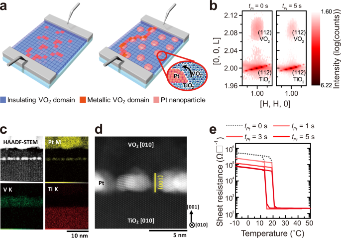                               Nature Communications                          volume  13, Article number: 4609  (2022 )             Cite this articl