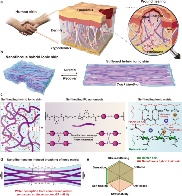 Fatigue-free artificial ionic skin toughened by self-healable elastic nanomesh
