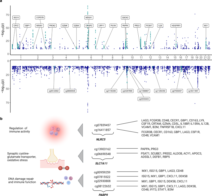 PP12 Final - asdasd - SCALABLE AND EFFICIENT BIOMARKER VISUALISATION  TECHNIQUES FOR EARLY-PHASE - Studocu