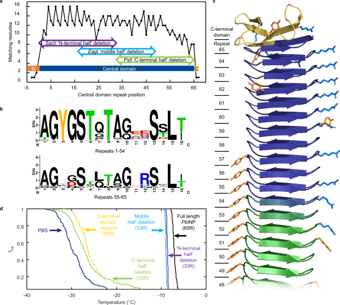 Electron microscopy and calorimetry of proteins in supercooled