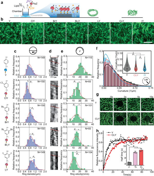 a) The time-resolved binding energy spectrum of NMM obtained upon