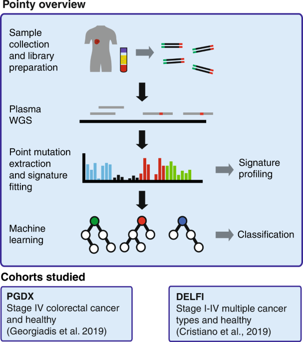Genome-wide mutational signatures in low-coverage whole genome sequencing  of cell-free DNA