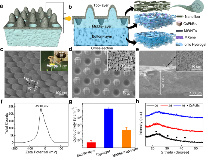Achieving Efficient Power Generation By Designing Bioinspired And Multi Layered Interfacial Evaporator Nature Communications