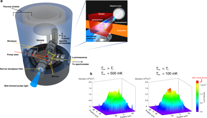 Observation Of Bose Einstein Condensates Of Excitons In A Bulk Semiconductor Nature Communications