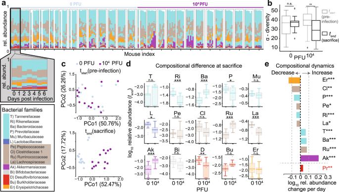 High body temperature increases gut microbiota-dependent host resistance to  influenza A virus and SARS-CoV-2 infection