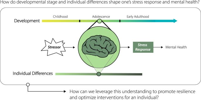 Leveraging the science of stress to promote resilience and 