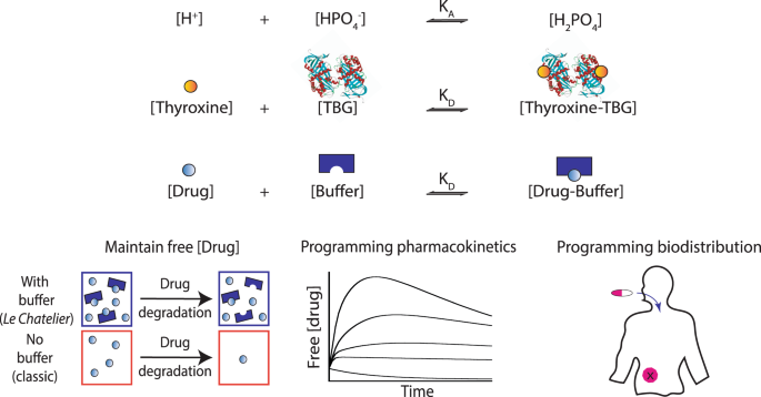 Programmable self-regulated molecular buffers for precise