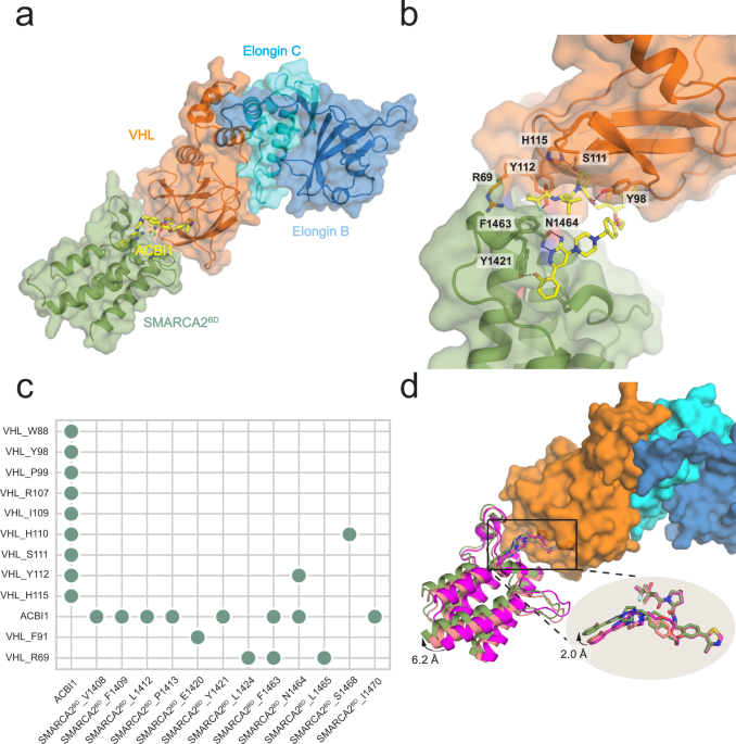 glutathione sepharose 4 fast flow ge Predicting the structural basis of targeted protein degradation by integrating molecular dynamics simulations with structural mass spectrometry Chemically stable with all Size:3XL Lip Balm Simplee S-Acetyl Glutathione Collagen