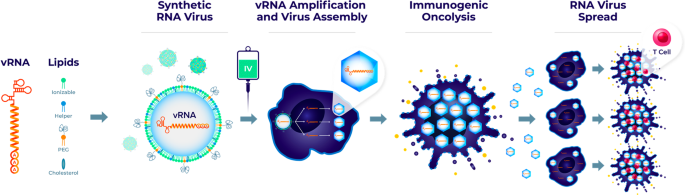Development of intravenously administered synthetic RNA virus immunotherapy for the treatment of cancer