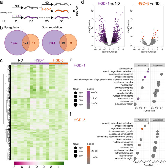 The metabolite alpha-ketobutyrate extends lifespan by promoting peroxisomal  function in C. elegans