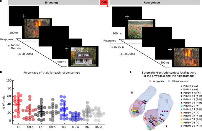 Aversive memory formation in humans involves an amygdala-hippocampus phase  code