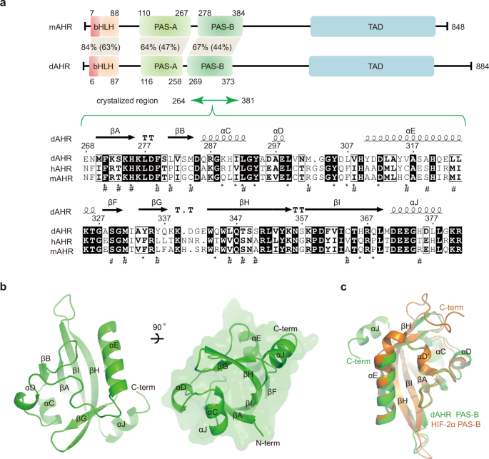 Structural insight into the ligand binding mechanism of aryl 