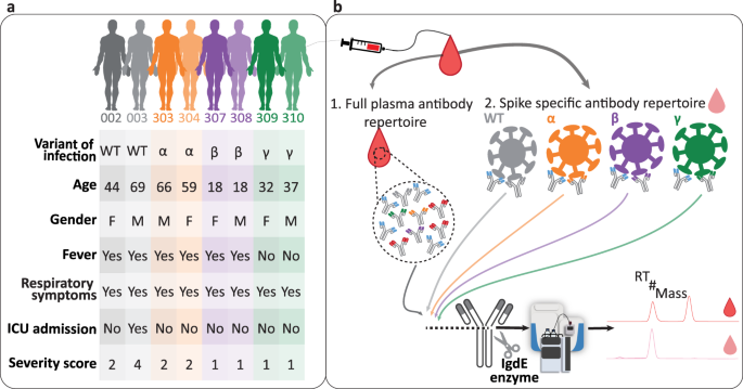 Discriminating cross-reactivity in polyclonal IgG1 responses against SARS-CoV-2 variants of concern