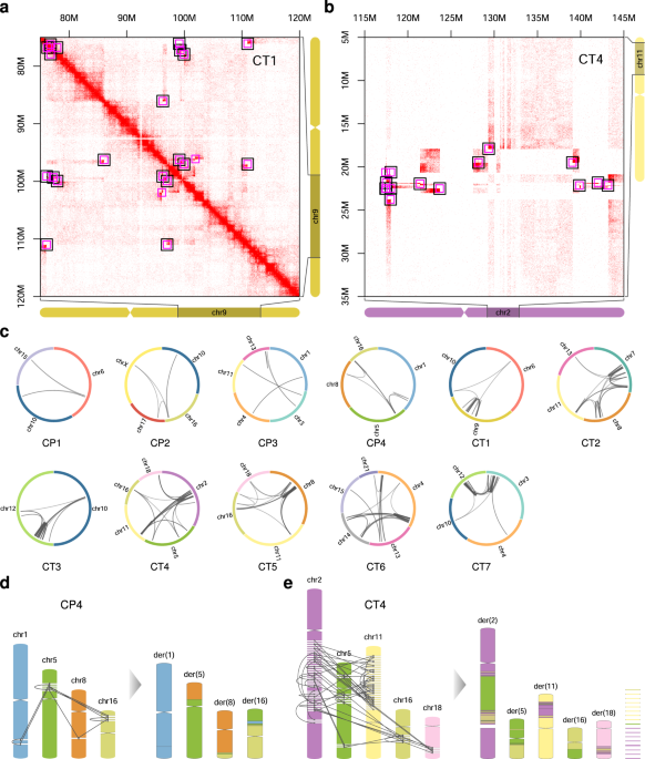 https://media.springernature.com/m685/springer-static/image/art%3A10.1038%2Fs41467-022-34053-7/MediaObjects/41467_2022_34053_Fig2_HTML.png