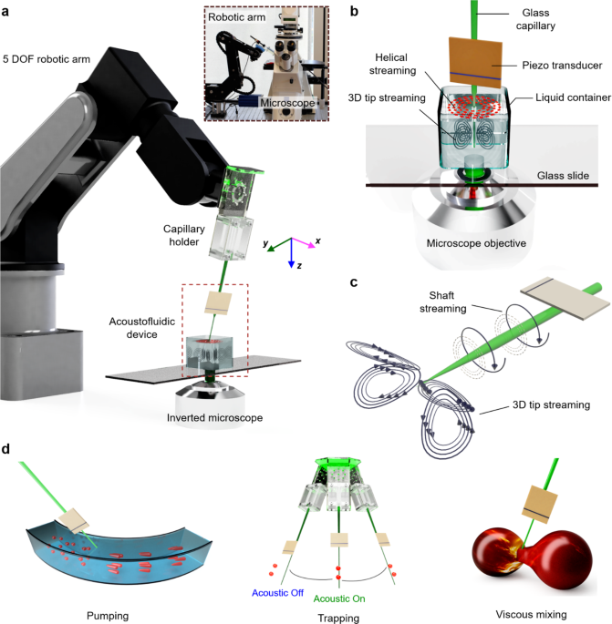 A robot-assisted acoustofluidic end effector | Nature Communications