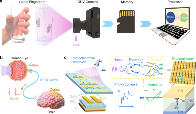 In-sensor reservoir computing system for latent fingerprint 