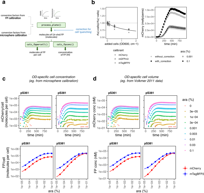 When Wavelengths Collide: Bias in Cell Abundance Measurements Due