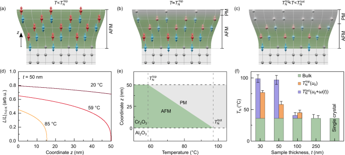 Flexomagneticity in Functionally Graded Nanostructures
