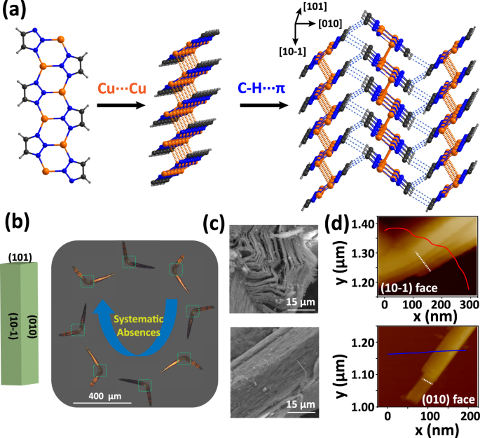 Plastic bending in a semiconducting coordination polymer crystal