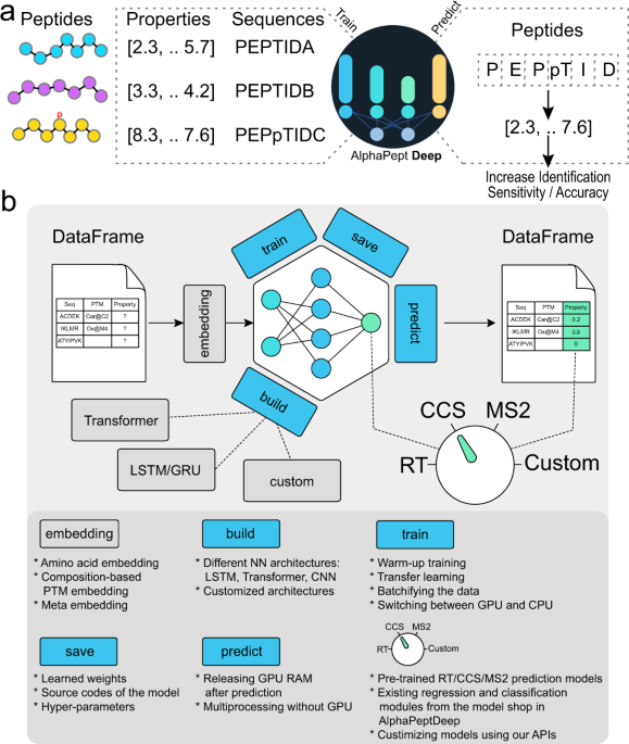 AlphaPeptDeep: a modular deep learning framework to predict peptide  properties for proteomics | Nature Communications
