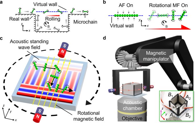 Linera microchains visualization - Rolling microswarms along acoustic virtual walls | Nature ...