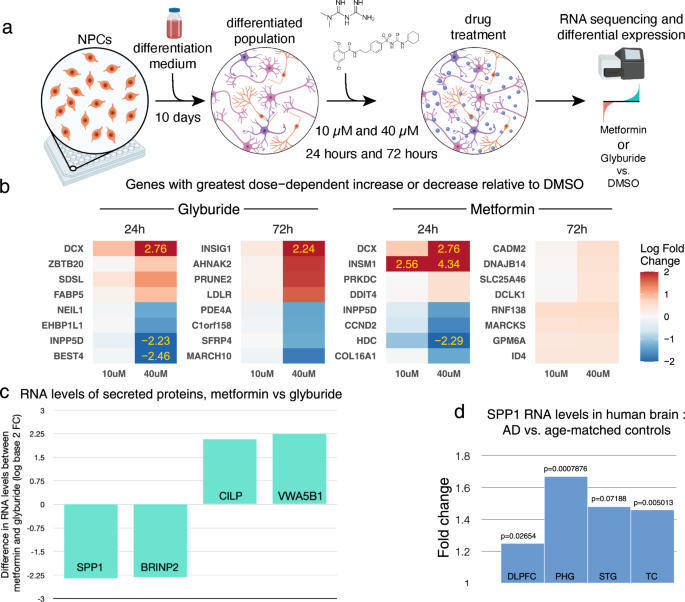 PDF) High-throughput target trial emulation for Alzheimer's