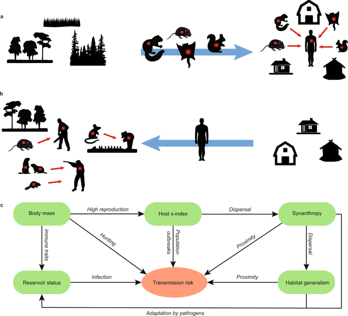 What Diseases Do Rats Carry? 35 Rodent-Borne Diseases