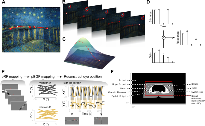 The five experimental positions used in the move-choice task