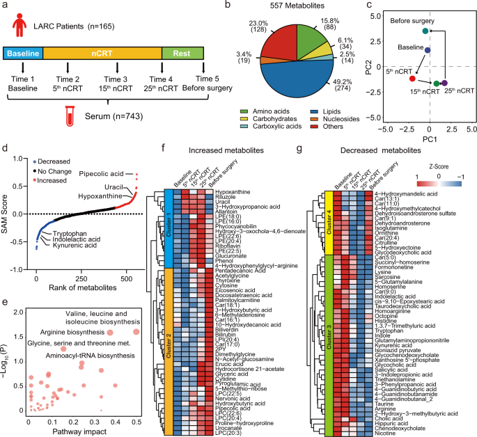 Serum metabolic traits reveal therapeutic toxicities and responses of  neoadjuvant chemoradiotherapy in patients with rectal cancer