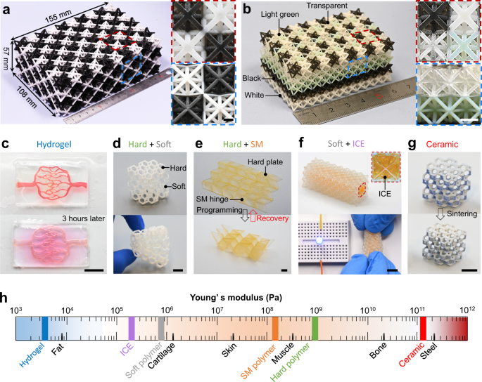 Centrifugal multimaterial 3D printing of multifunctional heterogeneous  objects | Nature Communications