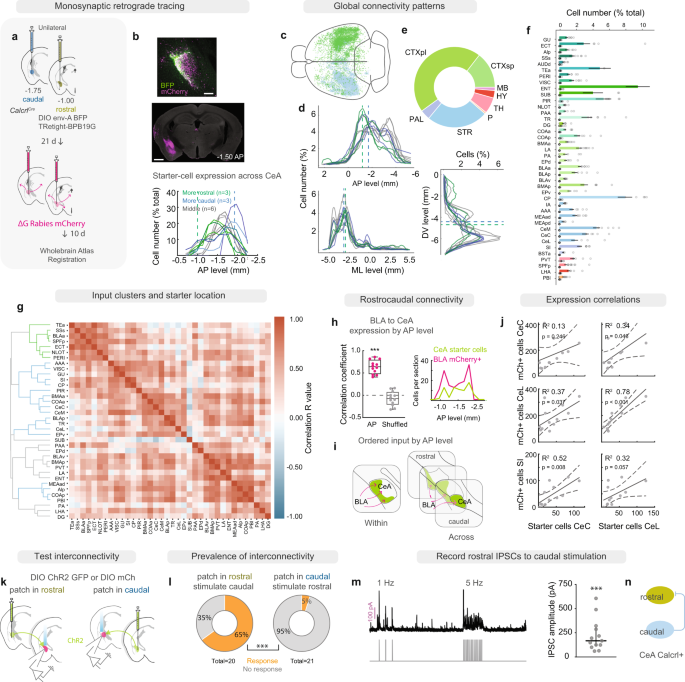 Topographic Representation Of Current And Future Threats In The.