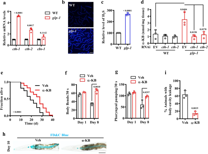 The metabolite alpha-ketobutyrate extends lifespan by promoting peroxisomal  function in C. elegans