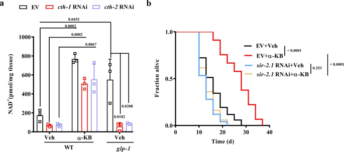 The metabolite alpha-ketobutyrate extends lifespan by promoting peroxisomal  function in C. elegans