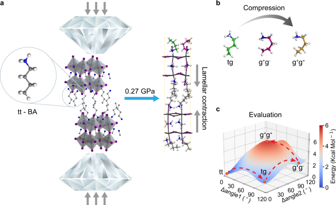 Pressure driven rotational isomerism in 2d hybrid perovskites
