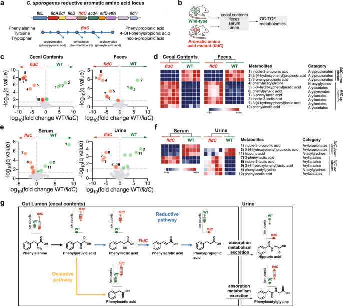 Metabolites, Free Full-Text