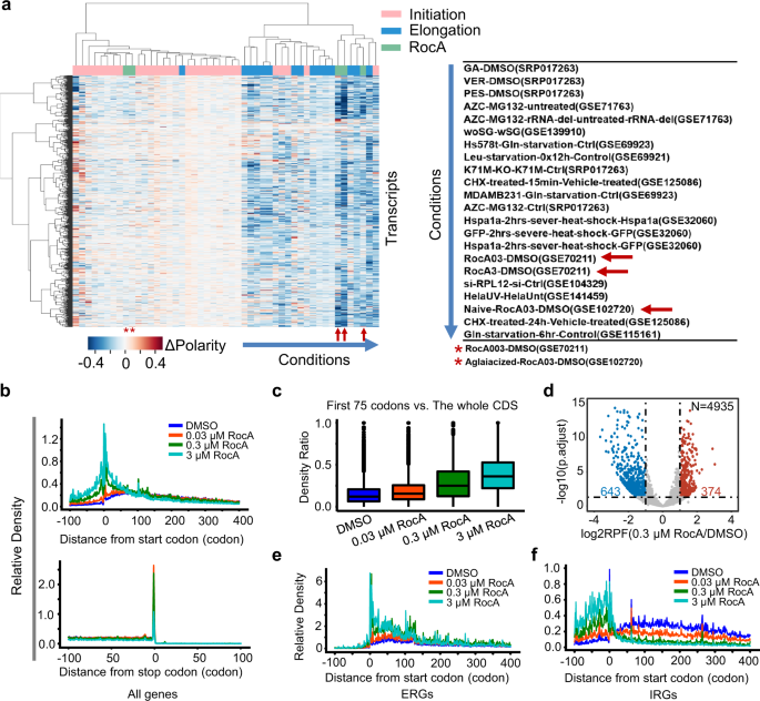 Reanalysis of ribosome profiling datasets reveals a function of rocaglamide  A in perturbing the dynamics of translation elongation via eIF4A | Nature  Communications