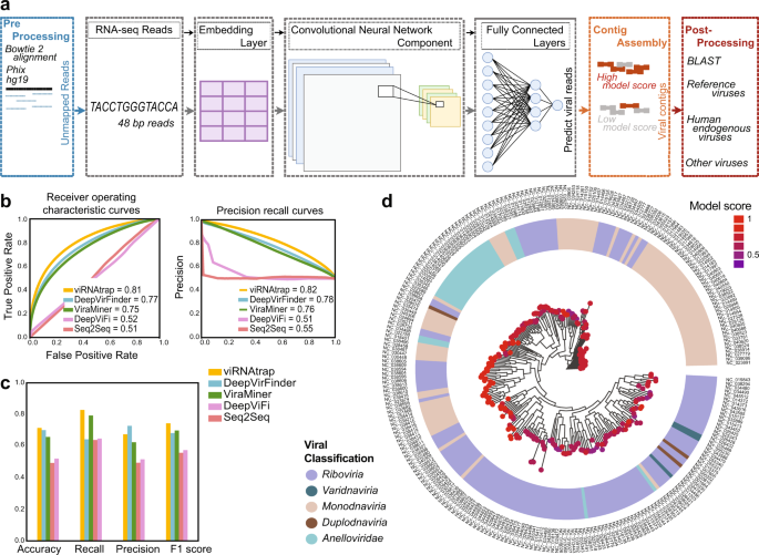 A deep learning approach reveals unexplored landscape of viral expression in cancer